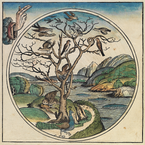Image from the Nuremberg Chronicle (source: Wikipedia) 