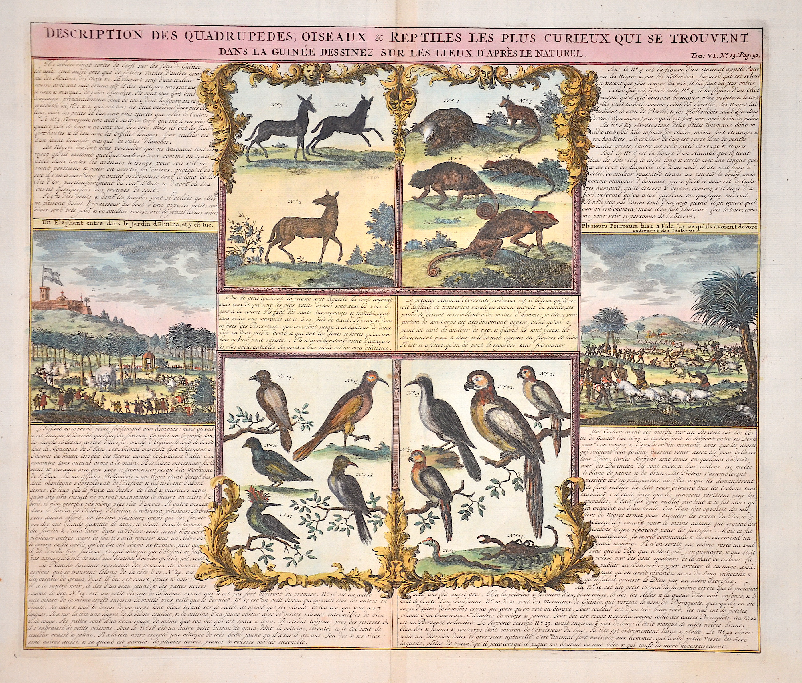 Chatelain Henri Abraham Description des Quadrupedes, oiseaux ou reptiles les plus cureaux qui ses trouvent dans la Guinee…..