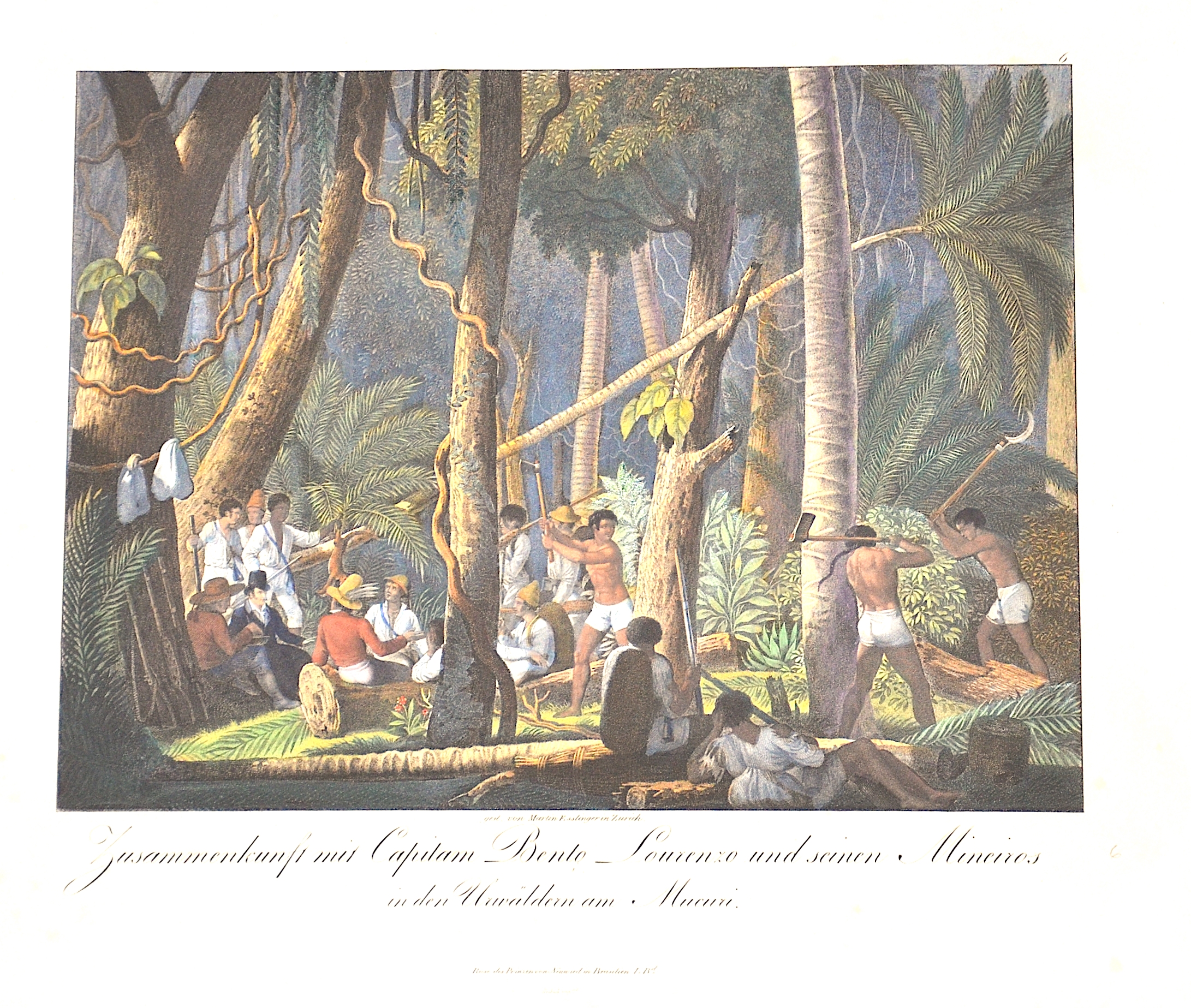 Wied-Neuwied Maximilian, Zusammenkunft mit Capilam Bento Lourenzo und seinen Mineiros in den Urwäldern am Mucuri.