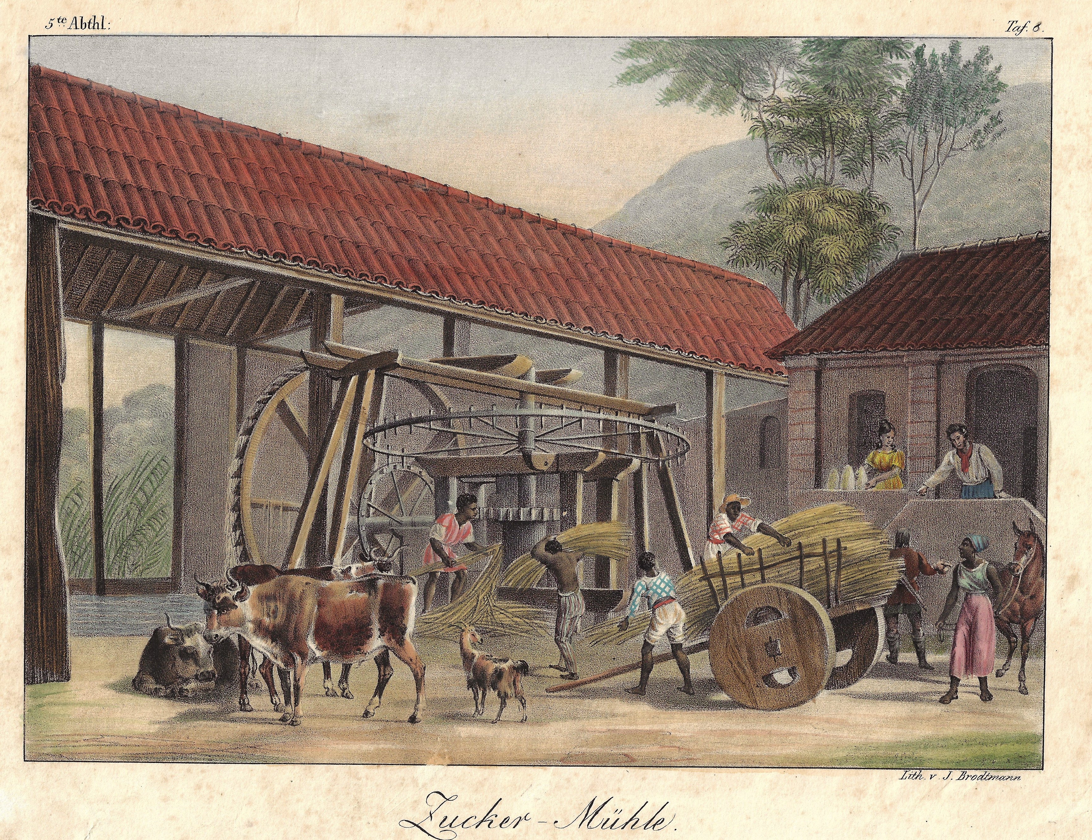 Brodtmann  Zucker-Mühle.