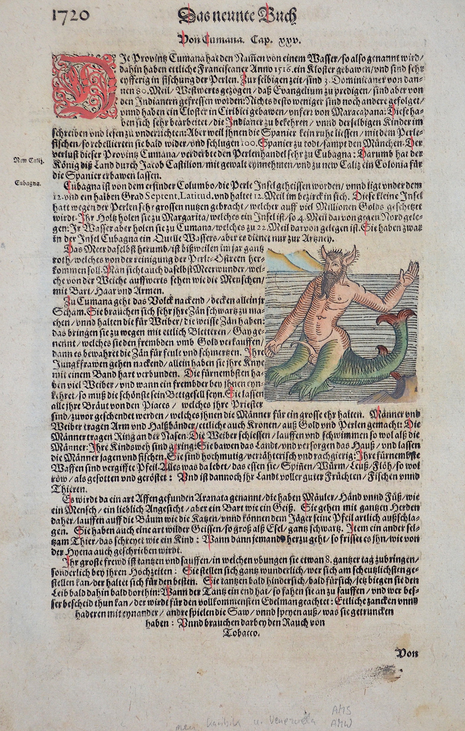 Münster  Das neunte Buch  / Von Cumana.