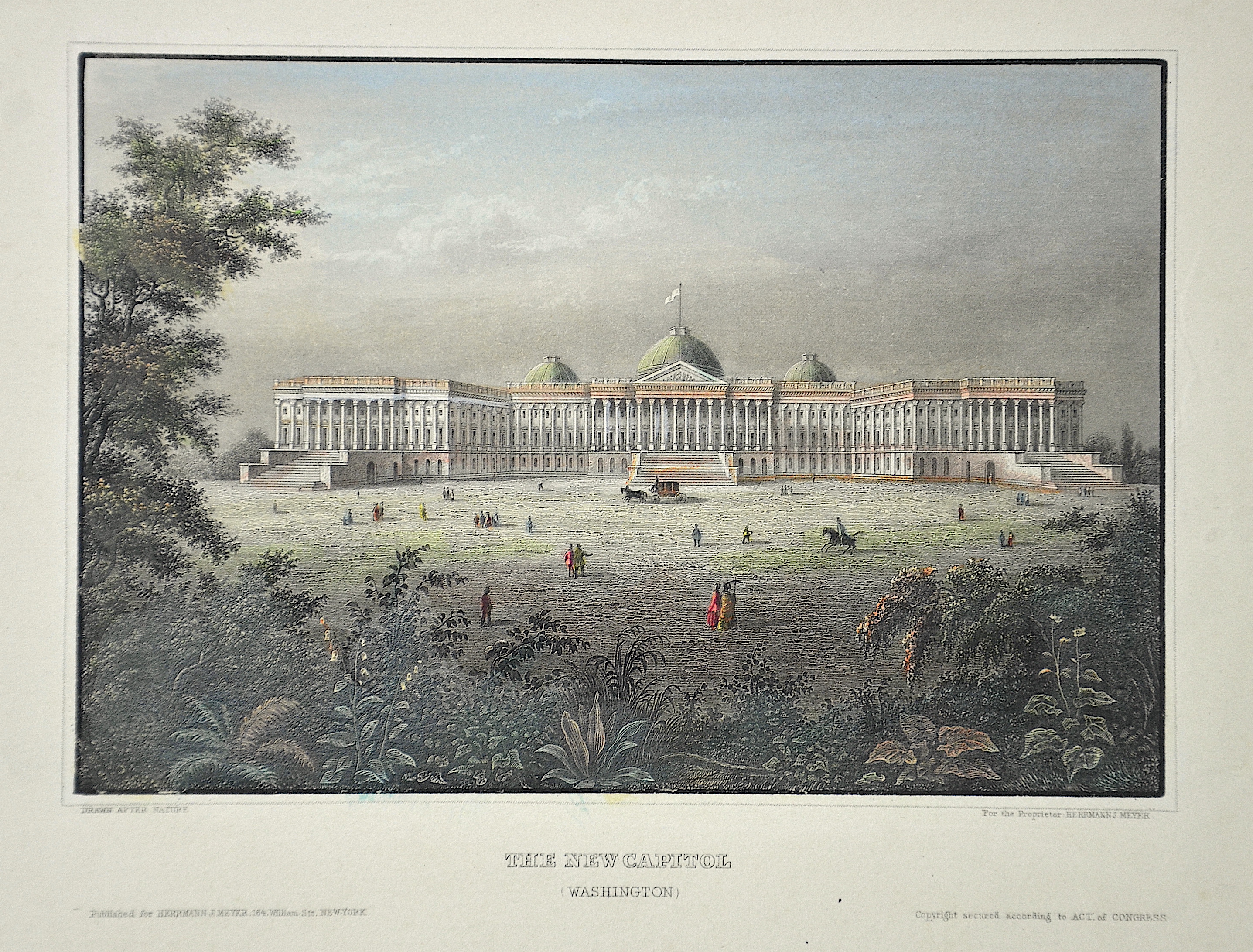 Meyer The New Capitol (Washington)