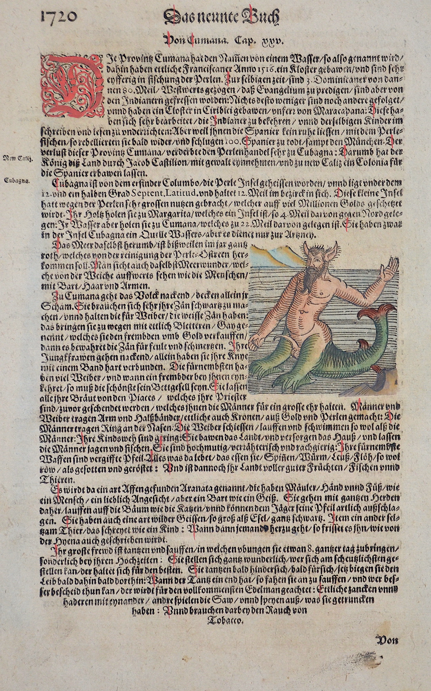 Münster  Das neunte Buch  / Von Cumana.