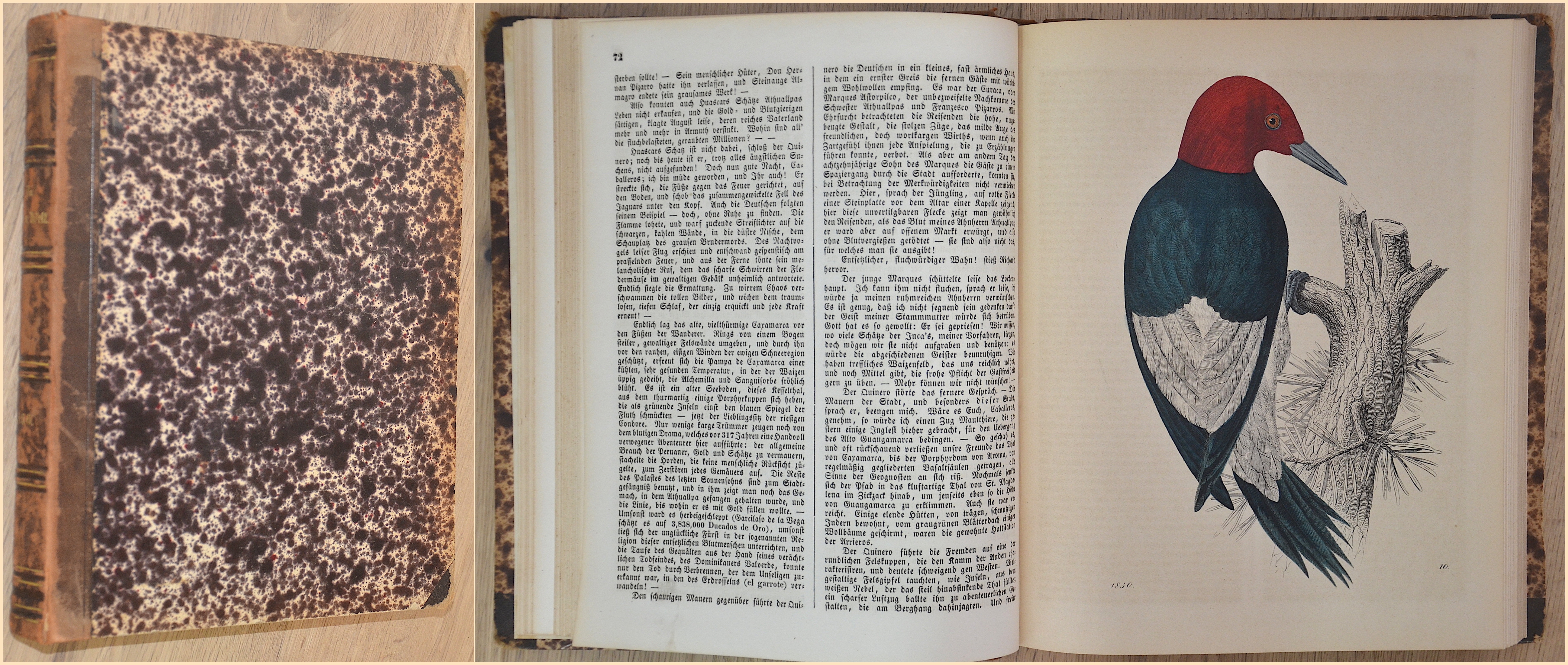 Hoffmann Carl Das Buch der Welt. 1850.