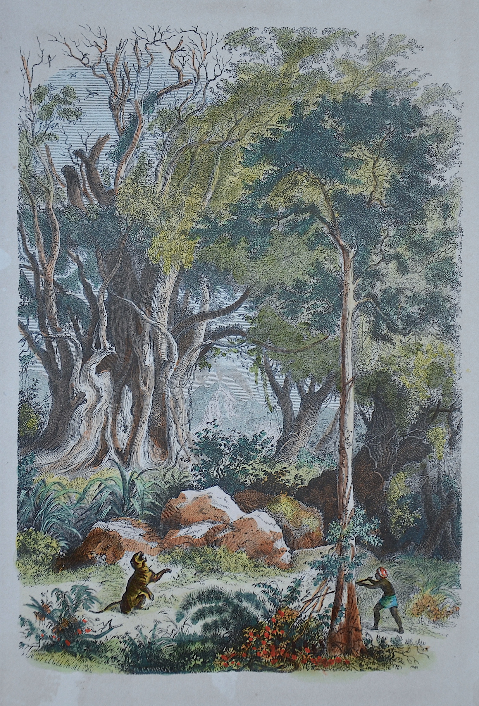 Fiegel  10 (Jagt-Hunting )