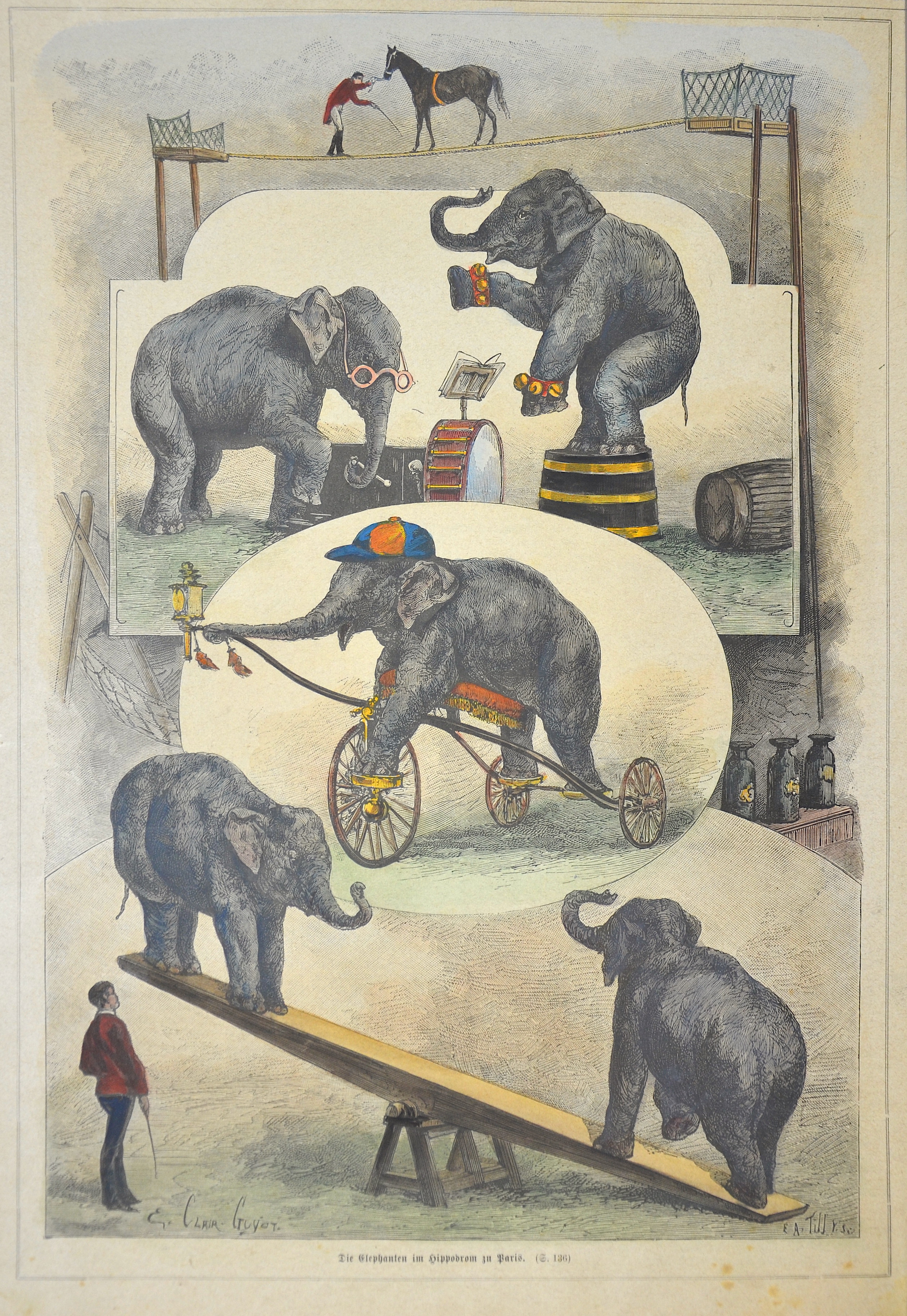 Tilly E.A. Die Elefanten im Hippodrom zu Paris.