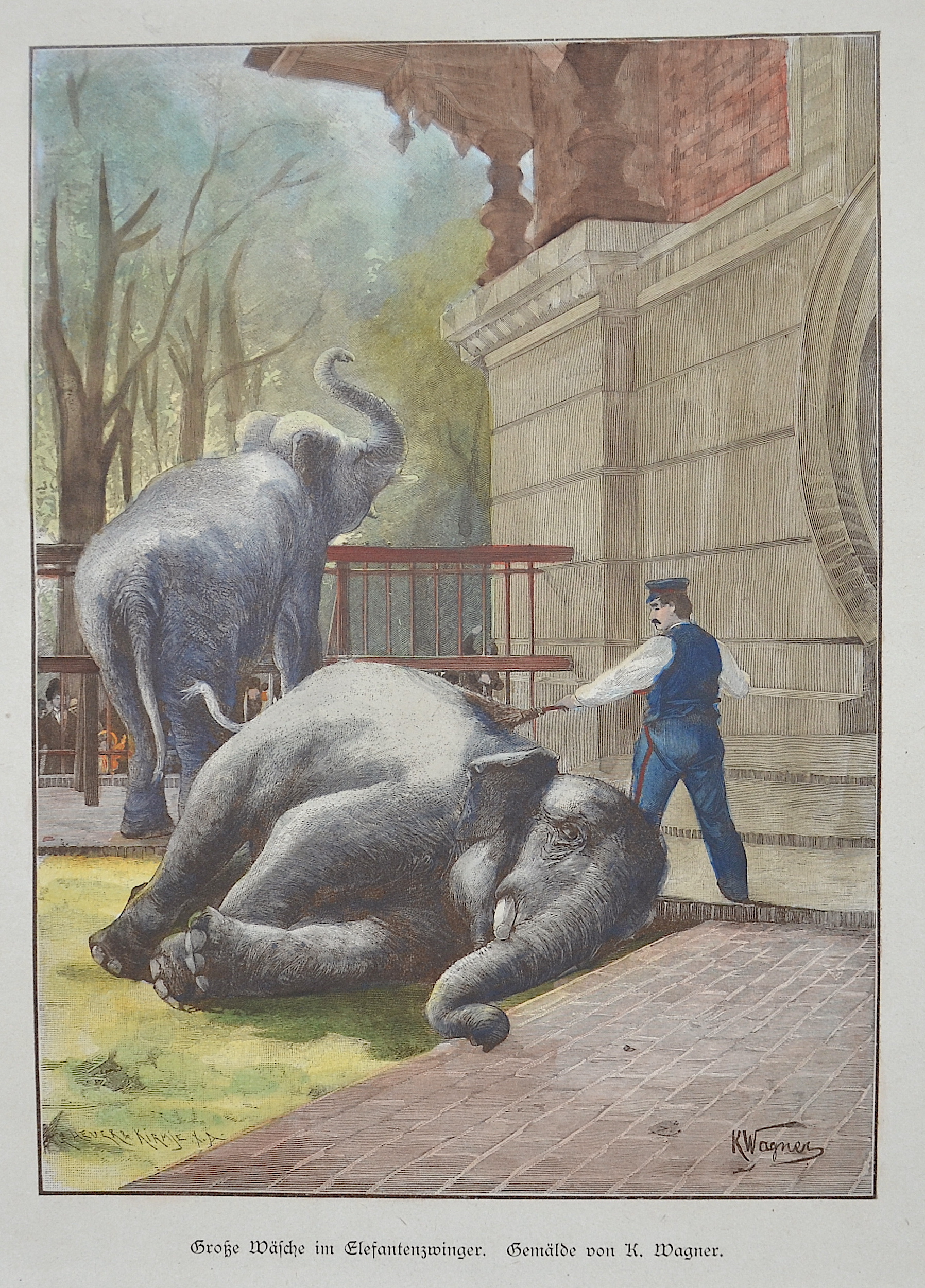Heuer G.  & Kirmje X. A.  Große Wäsche im Elefantenzwinger. Gemälde von K. Wagner.