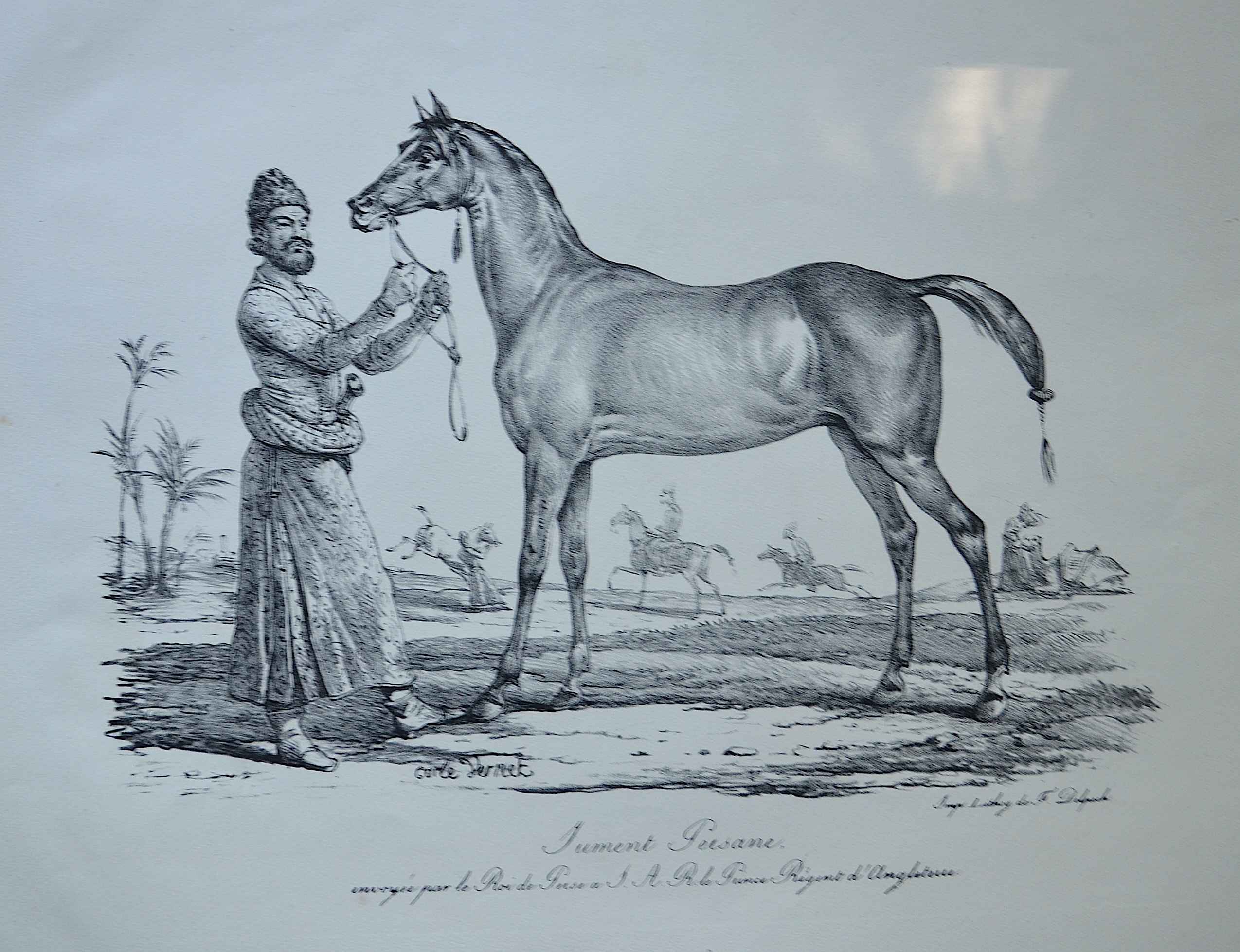 Vernet  Jument Persane, envoyee par le Roi de Perse a I. kA. R. le Prince Regent d’Angleterre.