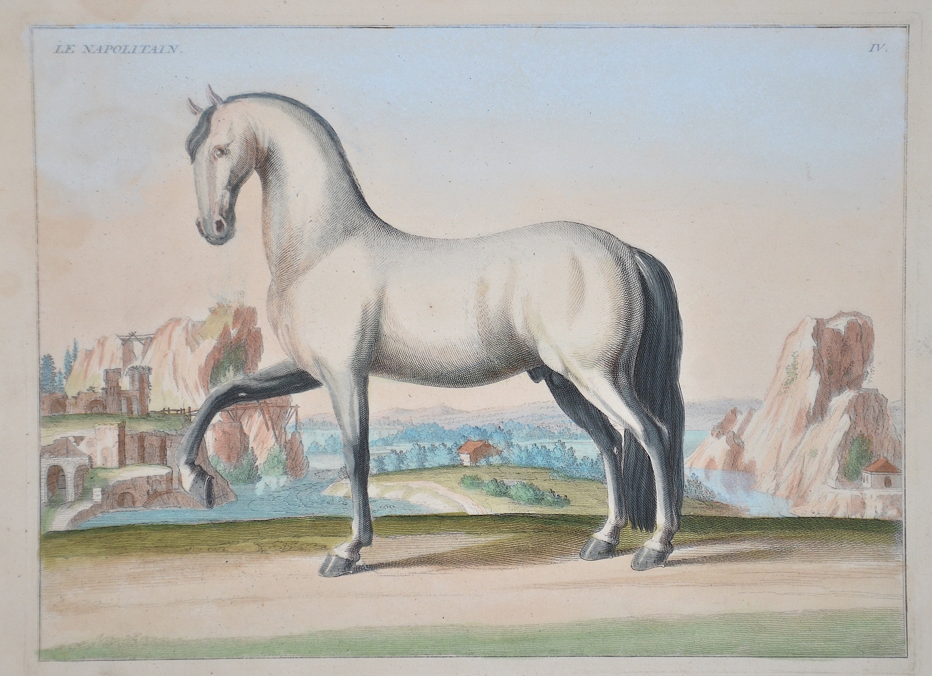 Eisenberg Baron von  Le Napolitain. IV.