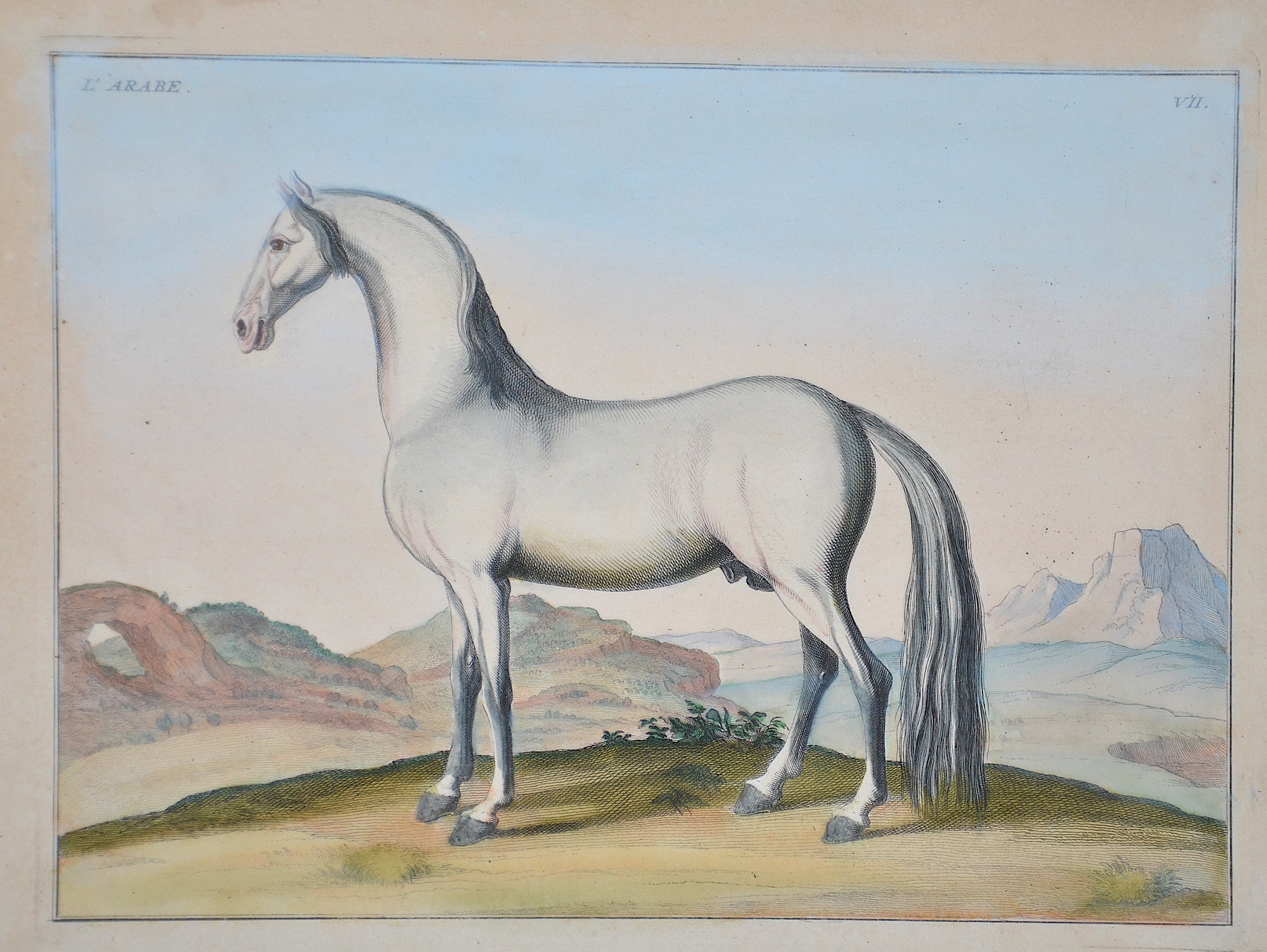 Eisenberg Baron von Wilhelm Friedrich L’Arabe. VII.