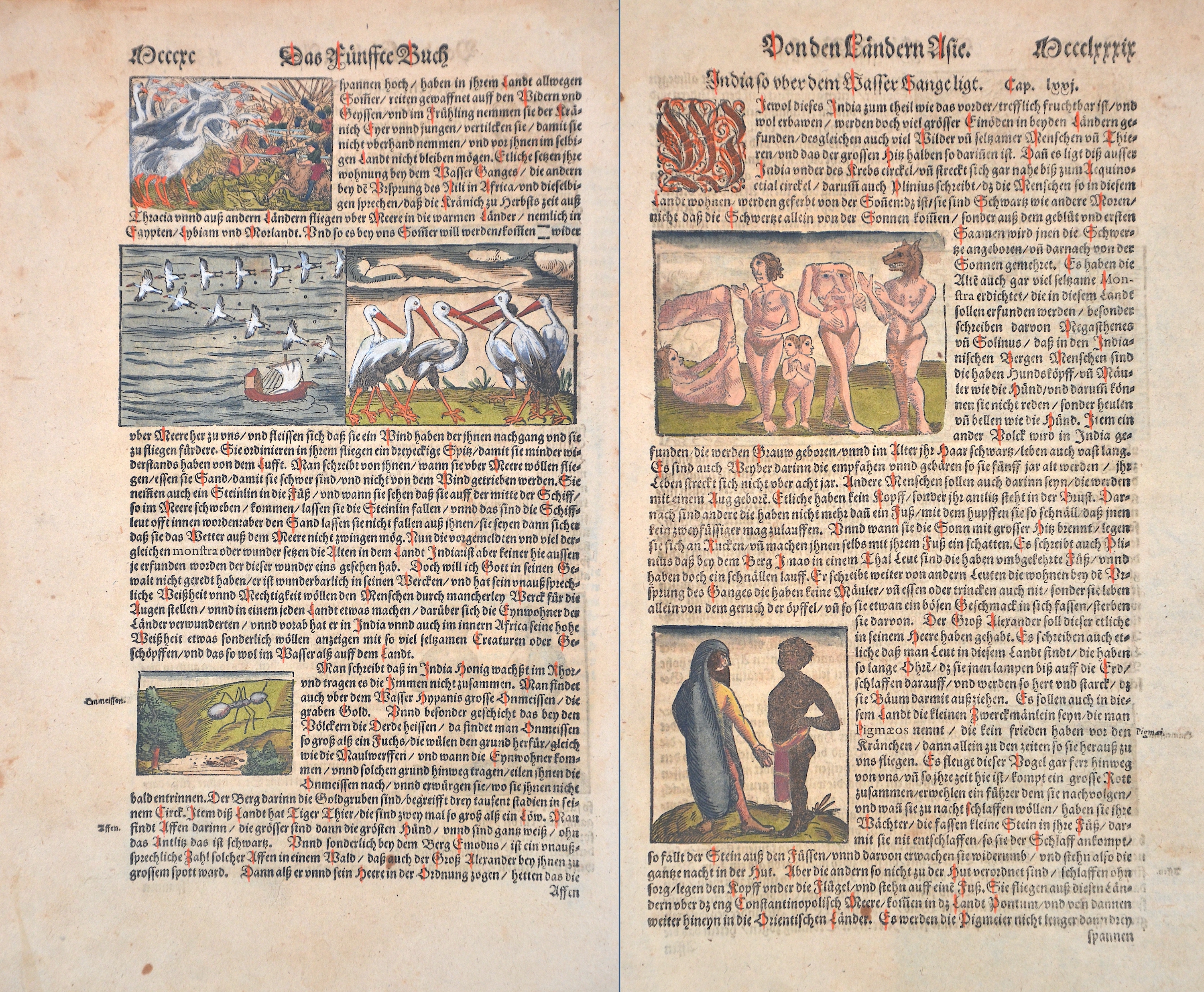 Münster Sebastian Das Fünffte Buch – Kränich