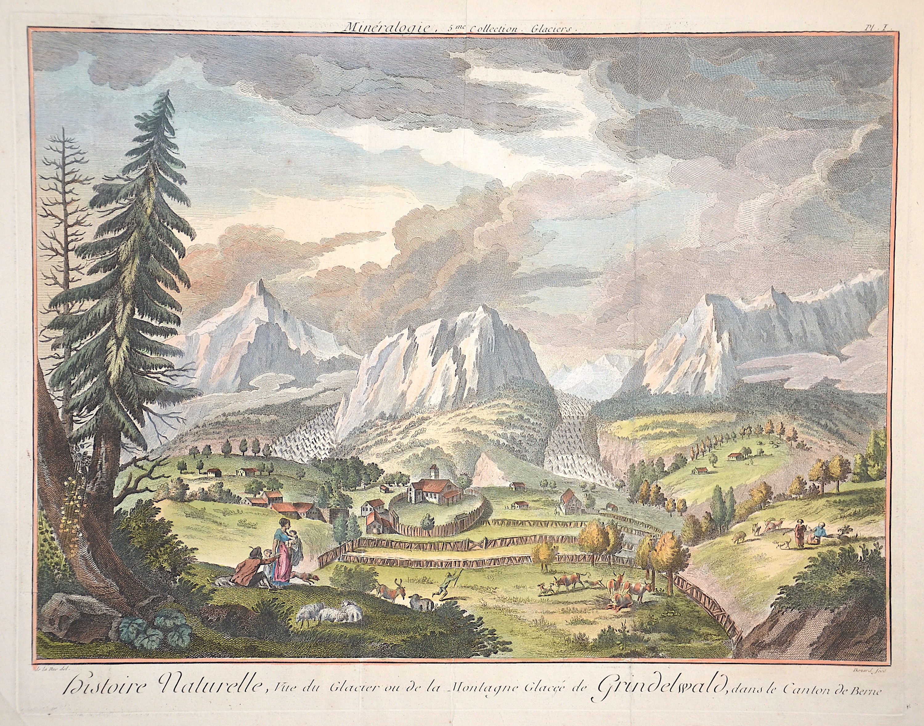 Benard  Histoire naturelle, vue du Glacier de la Montagne Glacée de Grindelwald, dans le Canton de Bern