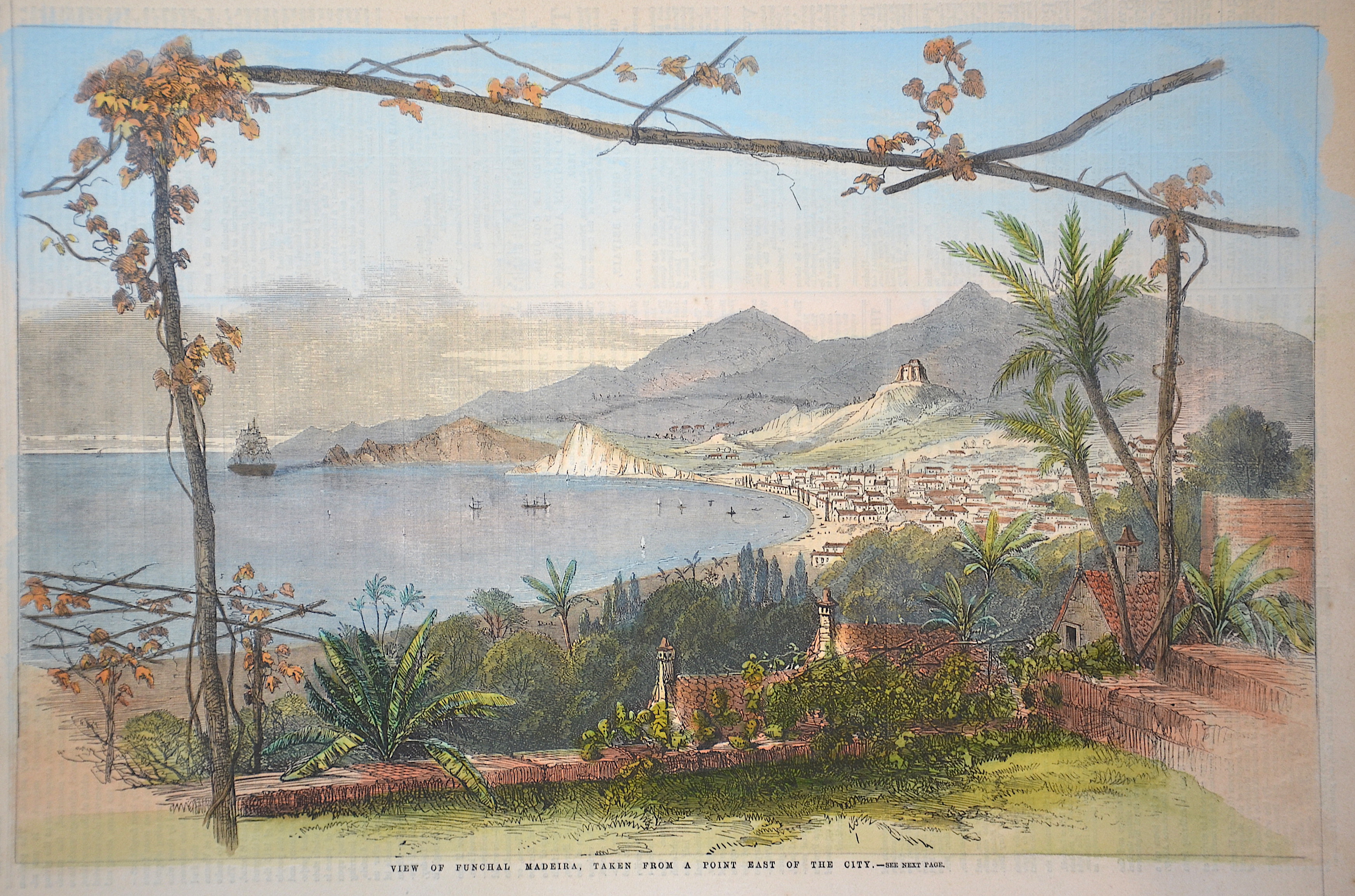 Anonymus  View of Funchal Madeira, taken from a point east of the city