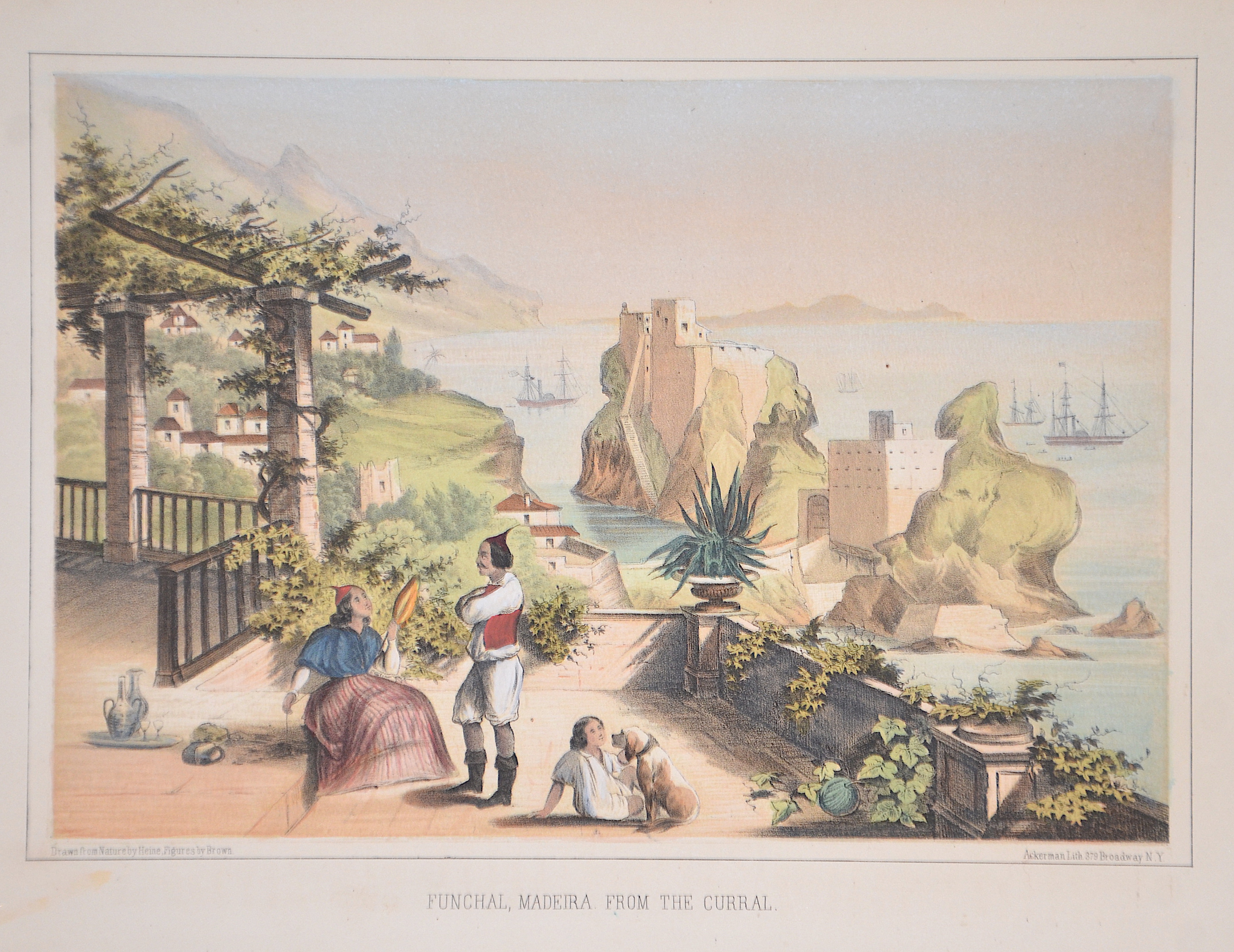 Ackerman & Co Funchal, Madeira. From the Curral.
