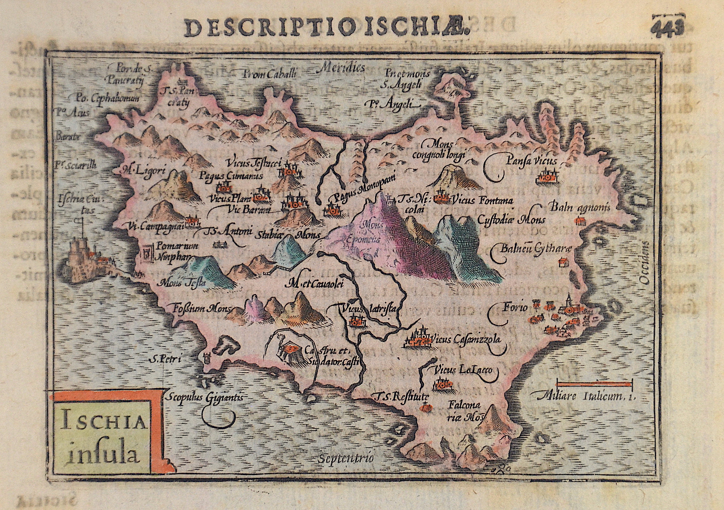 Bertius  Descriptio Ischiae. 443 / Ischia insula