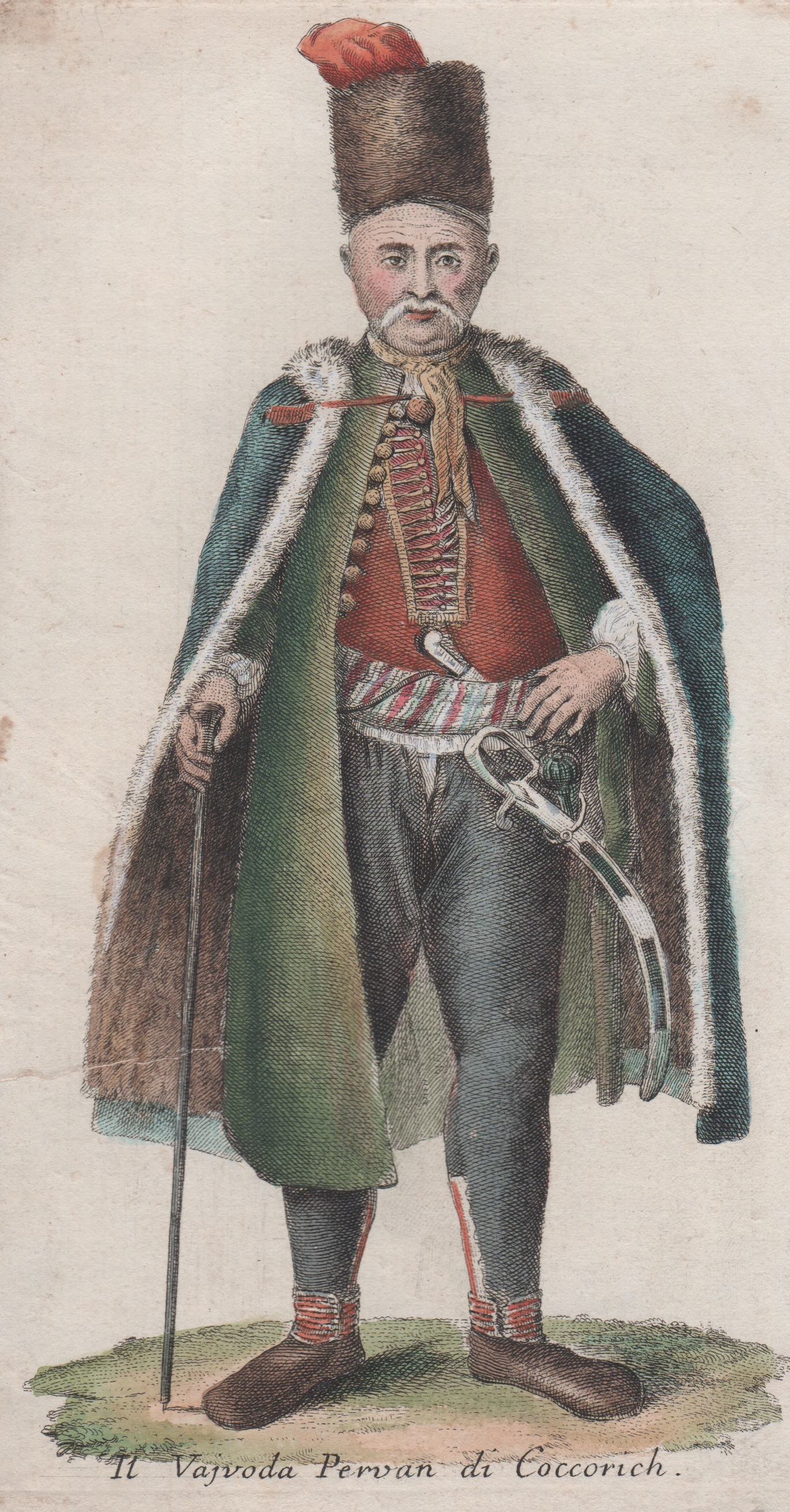 Anonymus  Il Vajvoda Pervan di Coccorich.