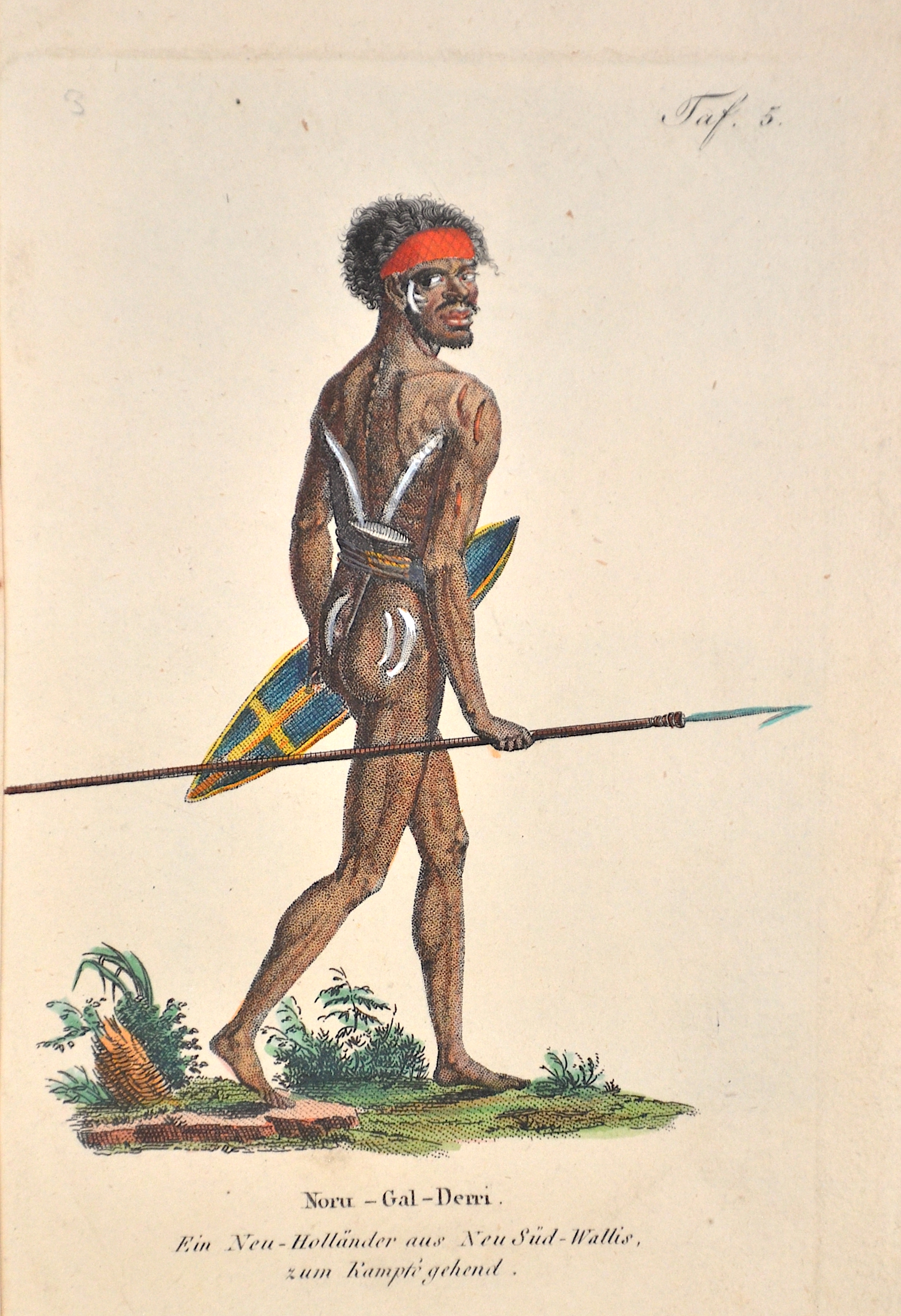 Anonymus Noru-Gal-Derri. Ein Neu-Holländer aus Neu Süd-Wallis, zum Kampfe gehend. Taf. 5